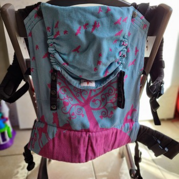 Kokadi Toddler